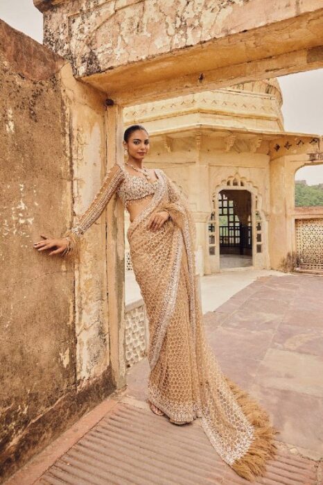 Beige Gold Embroidered Net Saree